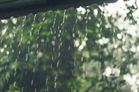 Bukan Hanya Muncul Saat Musim Hujan, 5 Kebiasaan ini Mengundang Nyamuk Datang 